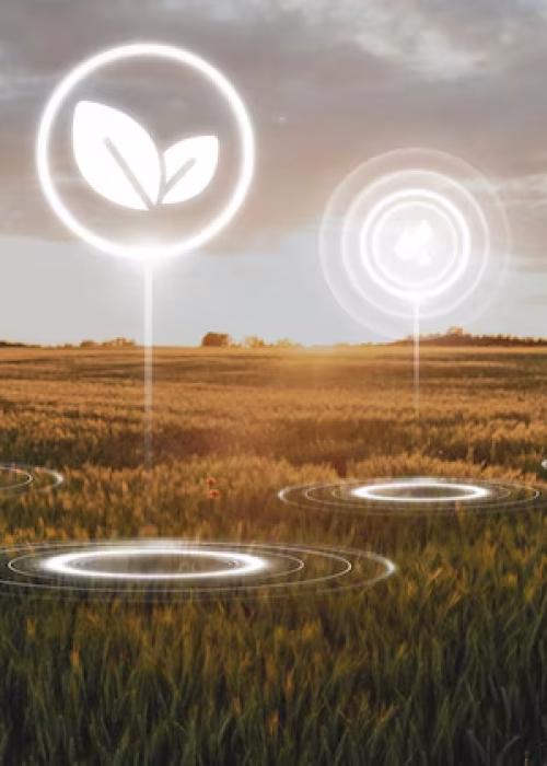 rural-farm-sunset_53876-1090903